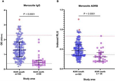 Bi-isotype immunoglobulins enhance antibody-mediated neutrophil activity against Plasmodium falciparum parasites